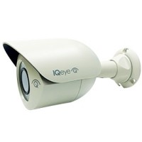 H.264 1080P CAMERA; indoor/outdoor, day/night, built in IR, 3.6 mm lens